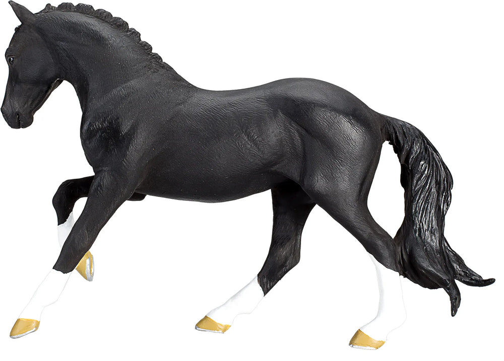 Hanoverian Black Portugal – Mojo