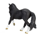 Hanoverian Black Portugal – Mojo