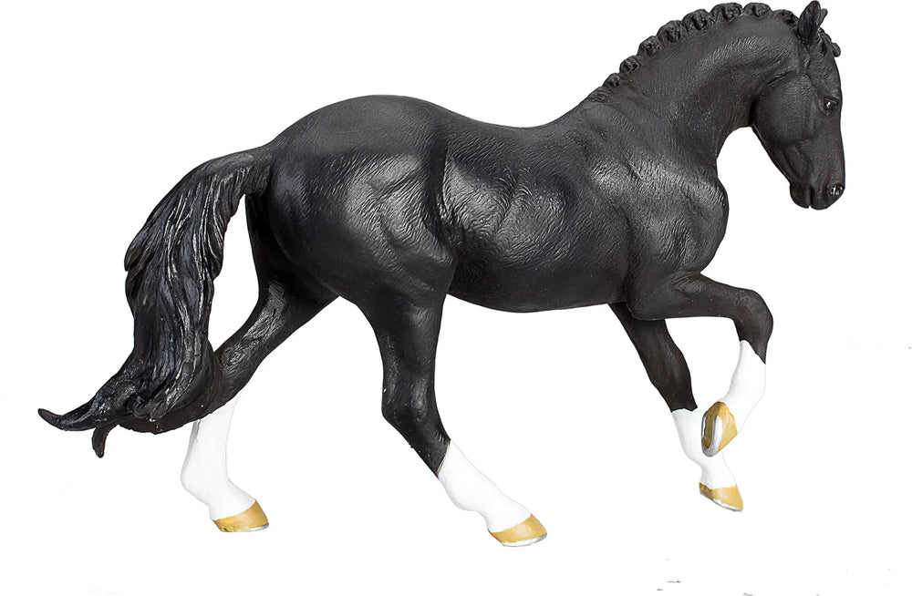 Hanoverian Black Portugal – Mojo