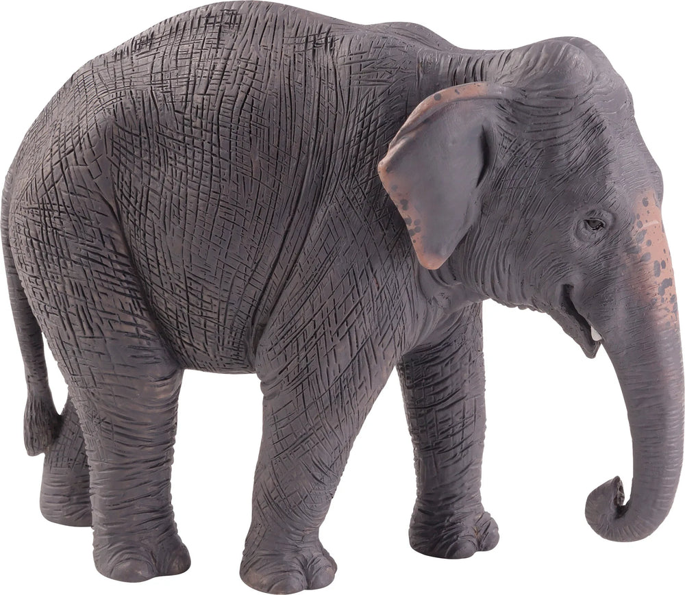 Asiatisk elefant legetøjsfigur 12x4x9 cm, phthalatfri til børn 3+ – Mojo