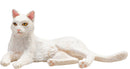 Kat figur liggende hvid 7x4x3,5 cm legetøj 3+ år – Mojo