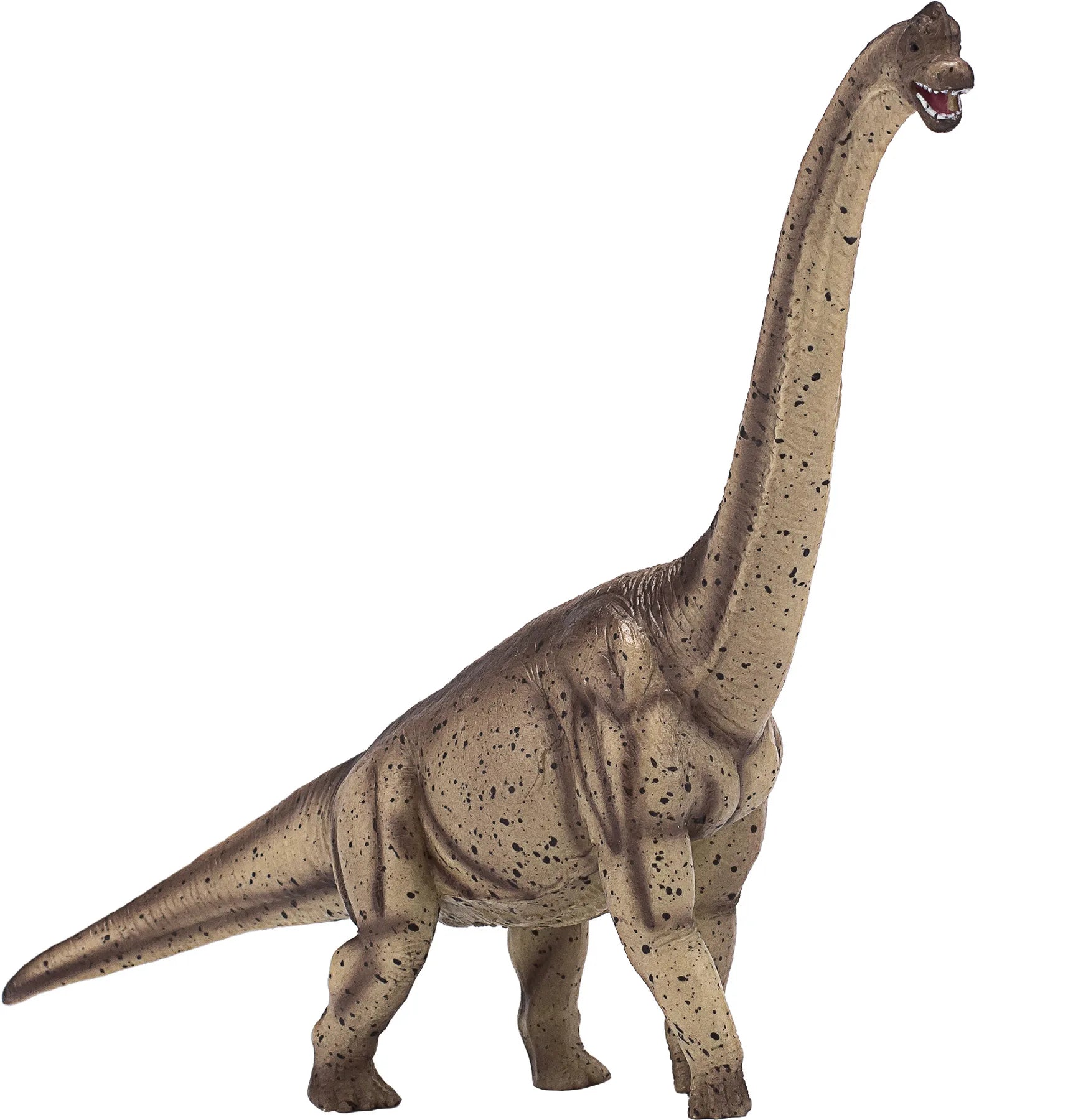 Brachiosaurus legetøjsfigur 25 cm, plast (fri for ftalater) – Mojo