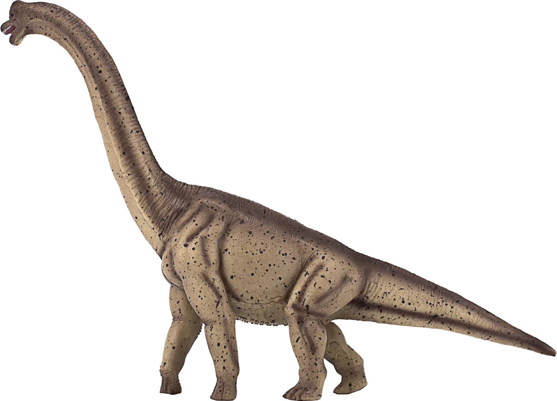 Brachiosaurus legetøjsfigur 25 cm, plast (fri for ftalater) – Mojo