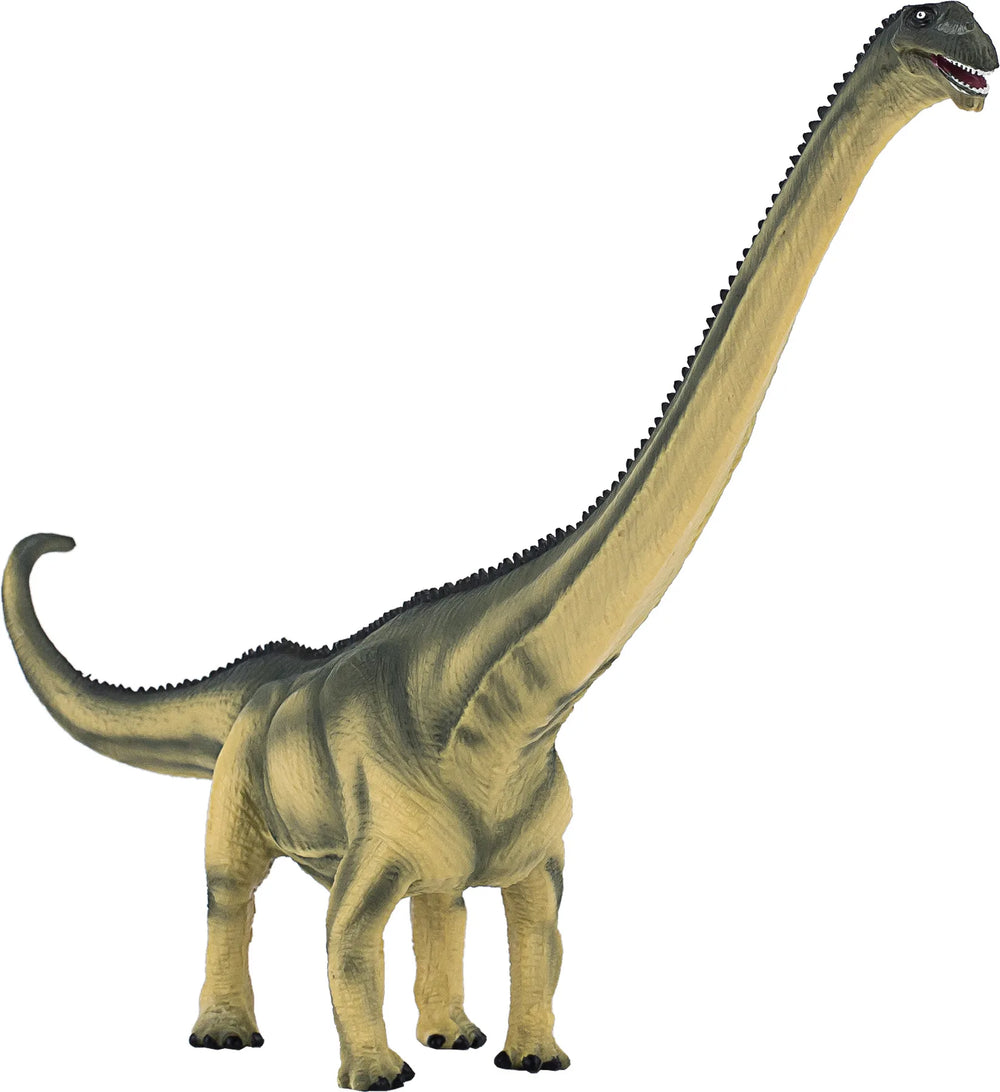 Mamenchisaurus legetøjsfigur 28x5,5x19 cm – kunststof, 3+ år, sikkerhedstestet – Mojo