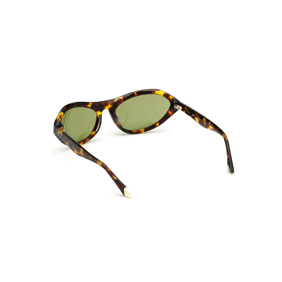 WEB EYEWEAR WE0288-6052N
