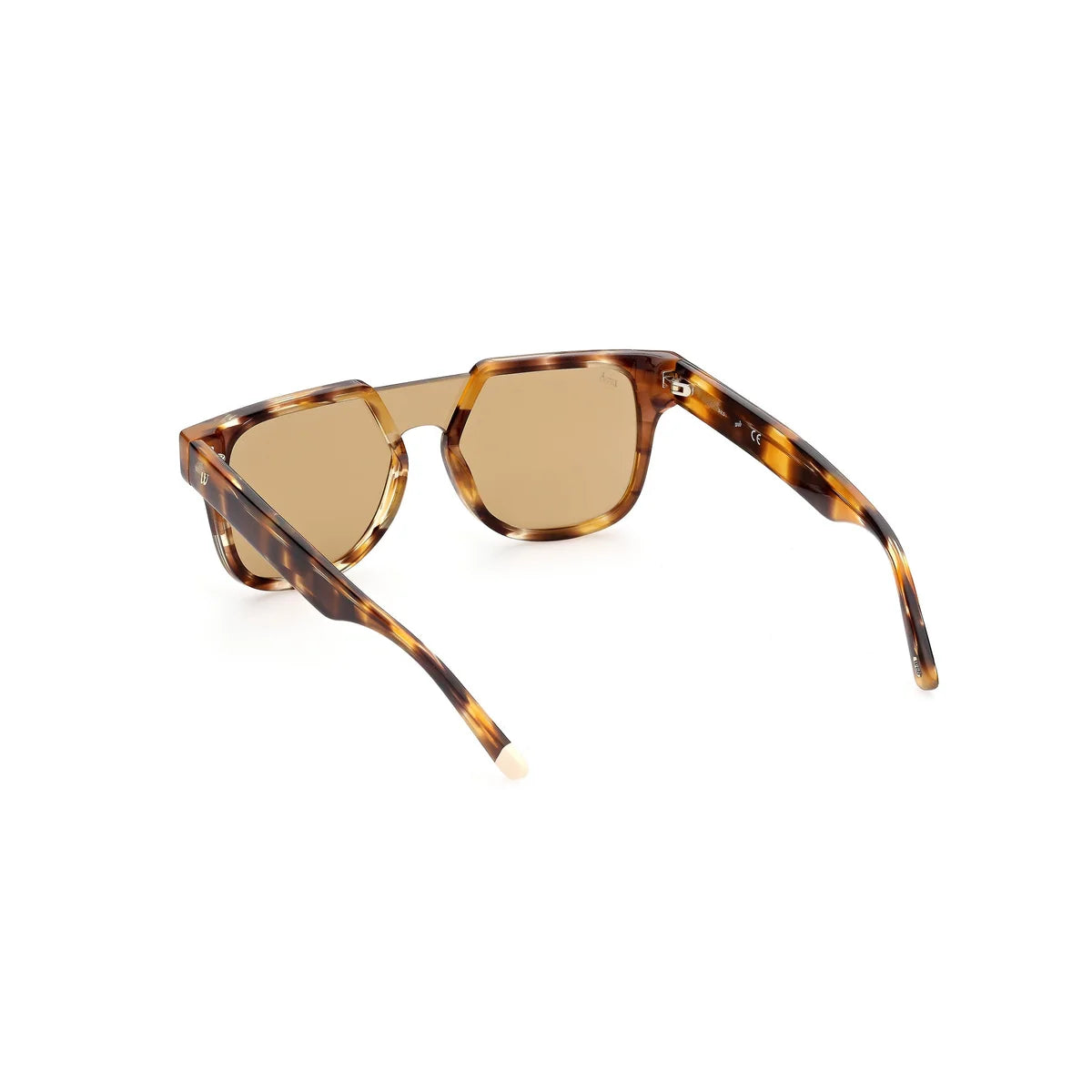 WEB EYEWEAR WE0315-0041F
